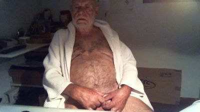 Seniorhengst webcam model stream image