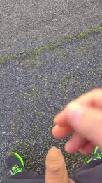 ALEXRED86 webcam cam4 model stream image