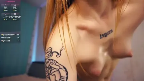 WiloneDimmick webcam stripchat model stream image