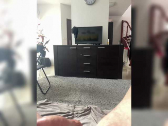 NoFaceNoRules webcam model stream image