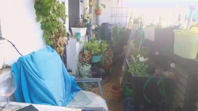 sweetnude83 webcam model stream image
