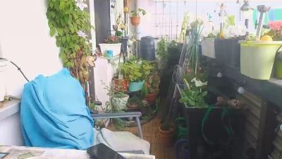 sweetnude83 webcam model stream image