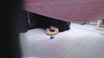SAPIA_SEXUAL webcam model stream image