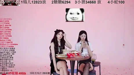 1X-one webcam model stream image