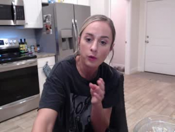 holihurricane webcam model stream image