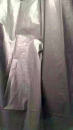 Jolietatouer webcam model stream image