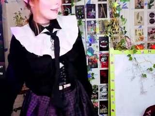 usagi-sasagi webcam model stream image