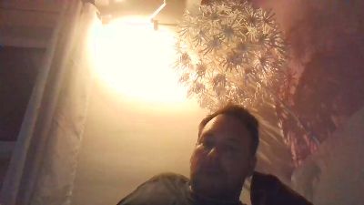 wieauch webcam model stream image