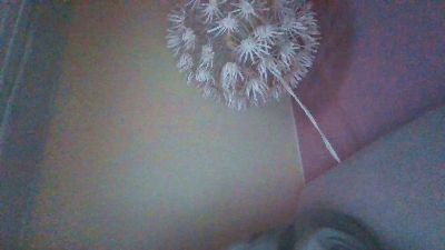 wieauch webcam model stream image