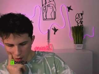 mister-vice webcam model stream image