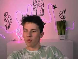 mister-vice webcam model stream image