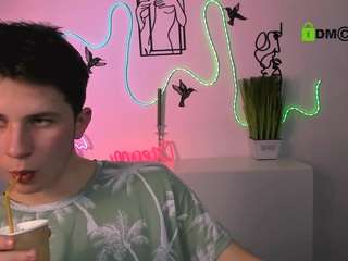 mister-vice webcam model stream image