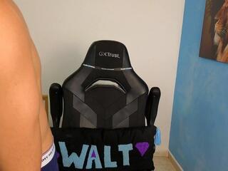 David Walt webcam model stream image