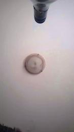 Superporcona40 webcam model stream image