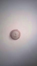 Superporcona40 webcam model stream image