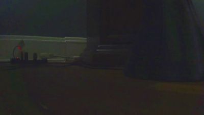 Tonybeesy webcam model stream image