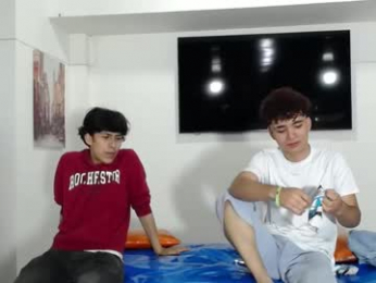 flyckers webcam model stream image