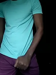 TNsouthmodel webcam preview