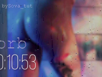 SOVA_tut webcam model stream image