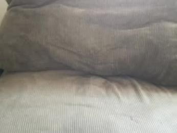 circumsizedbandit webcam model stream image