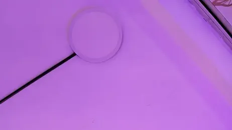 LumierNova webcam model stream image