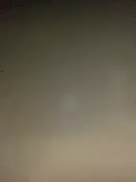 sasatimido webcam model stream image