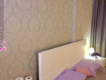 hey-monkey webcam model stream image