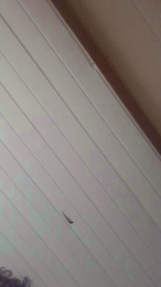 felipemarinhow3 webcam model stream image