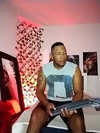 ARTHUR_MINI webcam model stream image