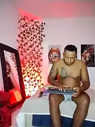 ARTHUR_MINI webcam model stream image