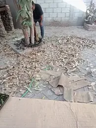 HomHot47 webcam model stream image