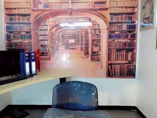 alexa-world webcam model stream image