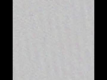 pussymoneywet webcam chaturbate model stream image