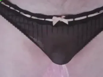 svvs27 webcam model stream image
