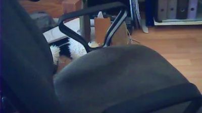 paulopikihot webcam model stream image