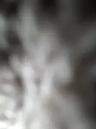 1727Marco webcam model stream image