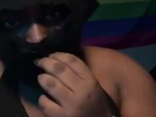 khandycane webcam model stream image