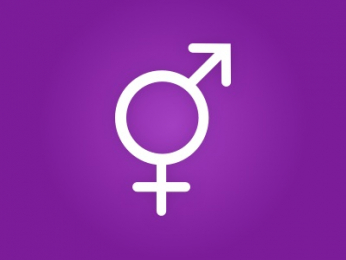 arifun webcam model stream image