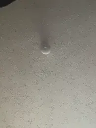 Baby__Otaku webcam model stream image