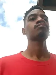 gemini_loops webcam model stream image