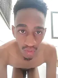gemini_loops webcam model stream image
