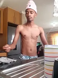 gemini_loops webcam model stream image