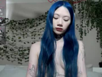 le_chan webcam model stream image