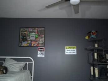 sydaffect webcam model stream image