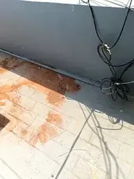 pratheeek18 webcam stripchat model stream image