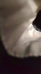 pene549 webcam preview