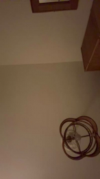 SugarBabyPepper webcam model stream image