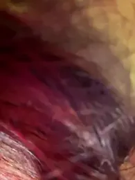 Hoot-Anime- webcam model stream image
