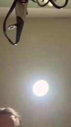 Pollon29_cm webcam model stream image