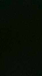 Dan40 webcam model stream image